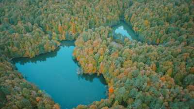 Yedigöller Milli Parkı